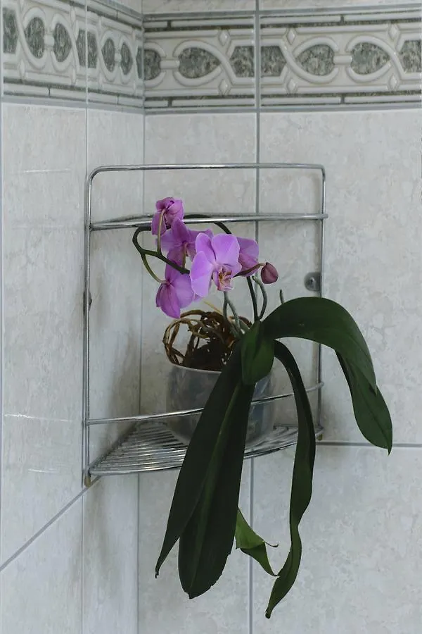 Irini Panzio Hotel Budapest 2*,  Hungary